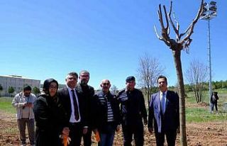 Sivas’ta şehitlerin adı fidanlarda yaşatılacak