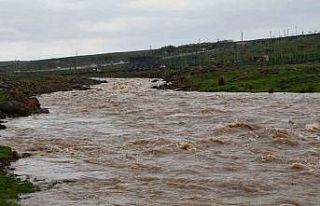 Siverek’te sağanak sonrası derede mahsur kalan...