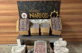 Sultanbeyli’de uyuşturucu operasyonu: 343 bin adet...