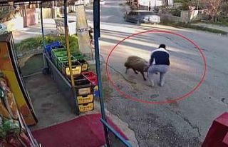 Sürünün geçişi esnasında 3 metrelik kuyuya düşen...