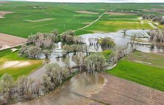 Tarım arazilerini sular altında bırakan Kanak Çayı...