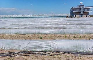 Tarım ve Orman Bakanlığından, bir çiftçinin...