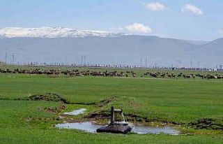 Tarımda önder üretici modeli vurgusu