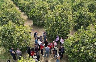 Tarımda yeni dönem başlıyor