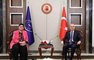 TBMM Başkanı Kurtulmuş, Avrupa Konseyi Parlamenter...