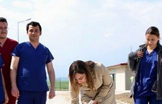 Tekirdağ’da can dostları için 10 bin metrekarelik...