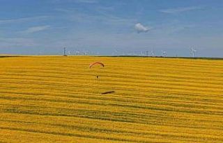 Tekirdağ’da sarı şölen: Paramotorlar sarı tarlaları...
