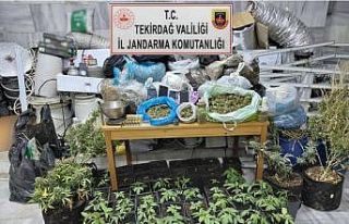 Tekirdağ’da uyuşturucu operasyonu: 1 tutuklama