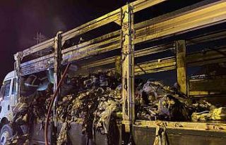 TEM otoyolunda tekstil yüklü kamyon alev aldı