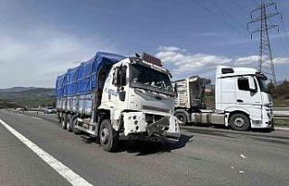 TEM’de tırdan kopan lastik kamyonun altına girdi