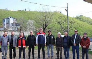 Teraslı fındık bahçeleri verimi artırdı, üretici...