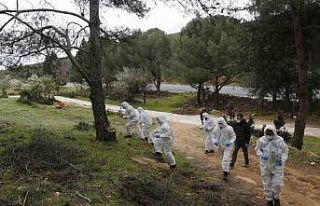 Terminatör böcekler iş başında