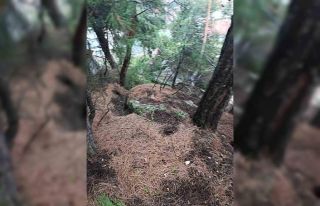 Tokat’ta heyelan ve kaya düşmesi nedeniyle 13...