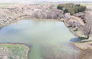 Tomarza’da yağışlar barajları doldurdu, çiftçinin...