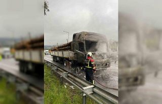 Tomruk yüklü tır alev topuna döndü