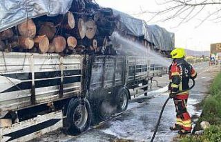 Tomruk yüklü TIR dorsesi alevel alev yandı