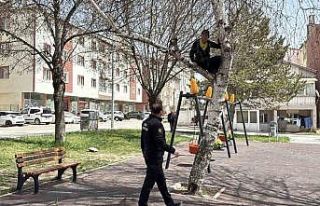 Topu almak için çıktığı ağaçtan inemeyen çocuk...