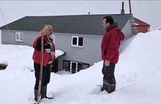 Torul’da kar altında ayı nöbeti