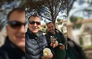 Türkiye çam balı üretiminde dünya birincisi