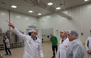 Türkiye’nin dört bir yanından gelen ballar Erzincan’da...