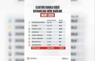 Türkiye’nin elektrik kurulu gücü 125 bin megavatı...