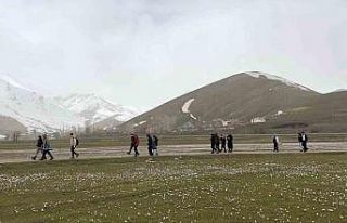 Üniversite öğrencilerinden çiğdemler arasında...