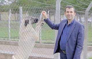 Uzmanı tanımladı, "Veteriner hekimler gıda...