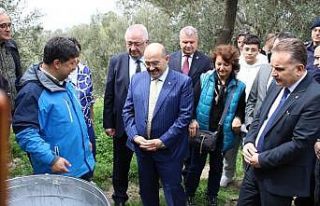 Vali Ustaoğlu, antik kenti gezerek sikke basıp sabun...