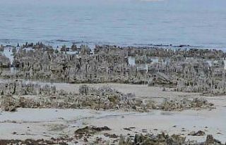 Van Gölü’nde kuraklık alarmı: Adilcevaz sahilinde...