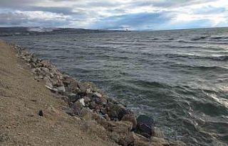 Van YYÜ Su Ürünleri Fakültesi Dr. Öğretim Üyesi...