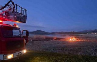Van’da 2 farklı sazlık alanda yangın çıktı