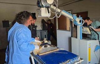 Van’da deprem sonrası enkaz altından yaralı çıkarılan...