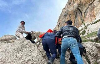 Van’da kayalıklarda mahsur kalan eşek kurtarıldı
