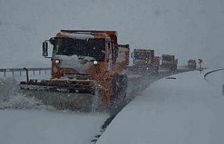 Van’da nisan sürprizi: Lapa lapa kar yağışı...