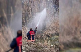 Van’da sazlık alanda yangın