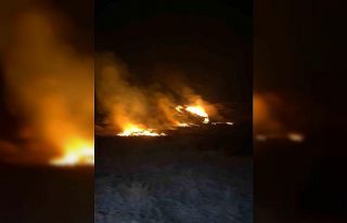 Van’da sazlık alanda yangın çıktı