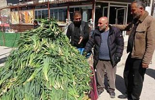 Van’da şifa kaynağı ‘çiriş otu’ tezgahlardaki...