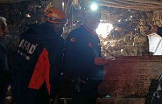 Van’daki depremde bir ahırın duvarı çöktü