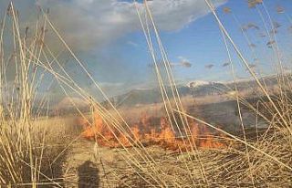 Van’ın Muradiye ilçesinde sazlık yangını