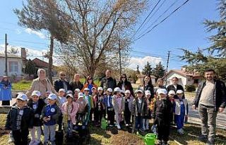 Vezirköprü’de minik eller fidan dikti