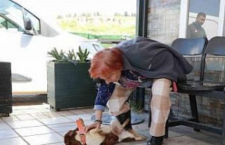 Yalova’da Cevriye teyze can dostu ile duygulandıran...