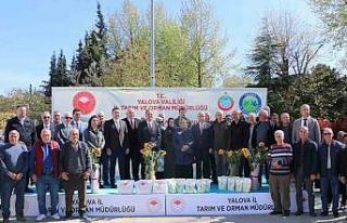 Yalova’da çiftçiye ayçiçeği ve fasulye tohumu...