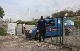 Yalova’daki barınakta köpek ölümleriyle ilgili...