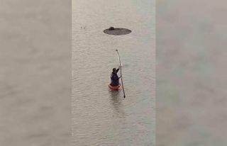 Yapay gölette mahsur kalan tilkiyi itfaiye kurtardı