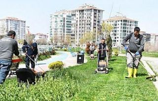 Yeşilyurt’ta park ve yeşil alanlarda bakım ve...