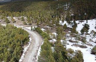 Yozgat’ın yükseklerinde kış ve bahar bir arada...