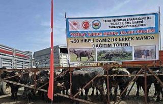 Yozgat’ta 20 manda üreticilere teslim edildi