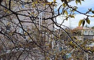 Yozgat’ta çiftçiler zirai don tehlikesine karşı...