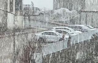 Yüksekova’da kar ve sis etkili oldu: Görüş mesafesi...