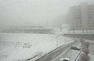 Yüksekova’da nisan ayında kar esareti